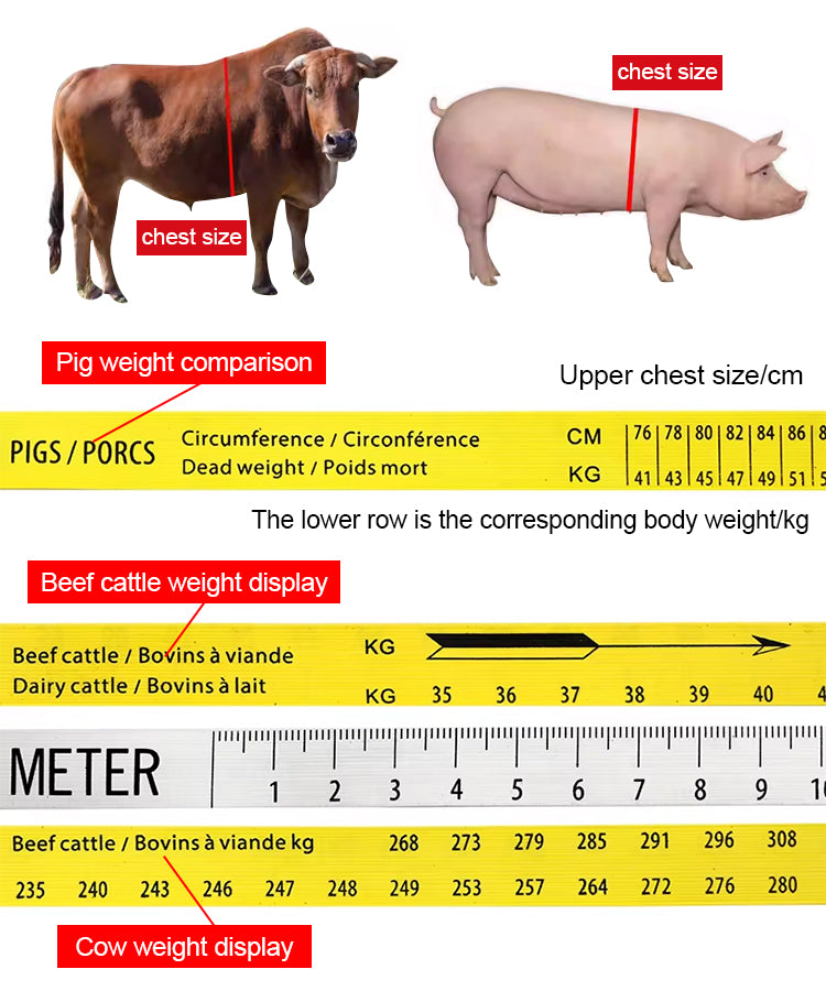 Meetlint voor Gewicht van Runderen en Varkens – productafbeelding