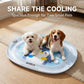 Waterbedmat voor huisdieren – Opblaasbaar, met water gevuld bed voor honden en katten, verkoelende zomermat voor huisdieren met dik, lekbestendig PVC-ontwerp, draagbaar kussen met ijsgevoel voor gebruik binnen en buiten