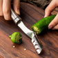 RVS Paprika-ontkerner – productafbeelding