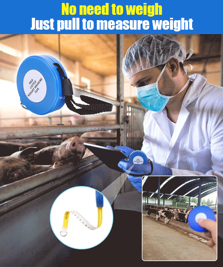 Meetlint voor Gewicht van Runderen en Varkens – productafbeelding