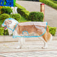 Transparante Regenjas voor Honden – productafbeelding