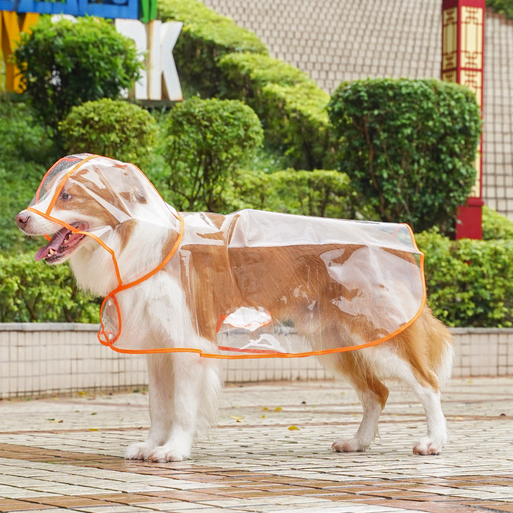 Transparante Regenjas voor Honden – productafbeelding