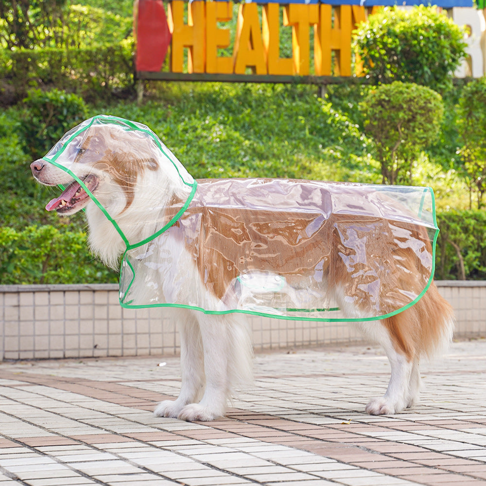 Transparante Regenjas voor Honden – productafbeelding