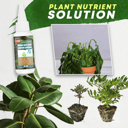 🔥Plantenvoedingsoplossin