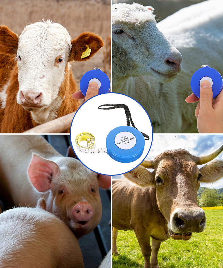 Meetlint voor Gewicht van Runderen en Varkens – productafbeelding