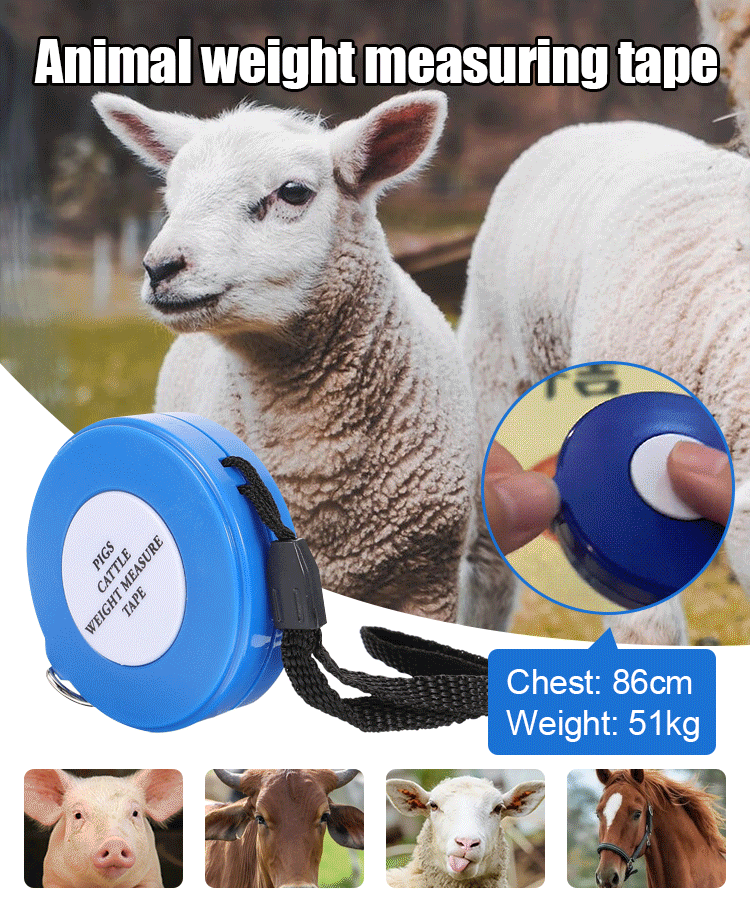 Meetlint voor Gewicht van Runderen en Varkens – productafbeelding