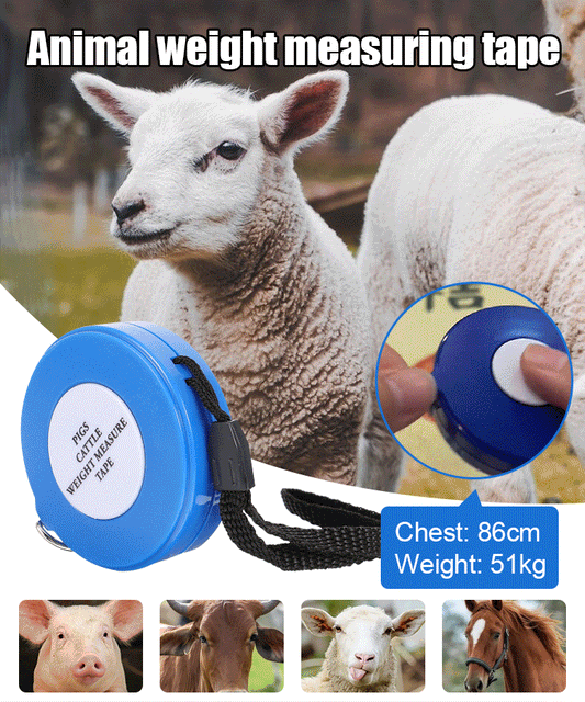 Meetlint voor Gewicht van Runderen en Varkens – productafbeelding