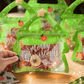 Hersluitbare kerst-uitdeelzakjes met handvat – productafbeelding
