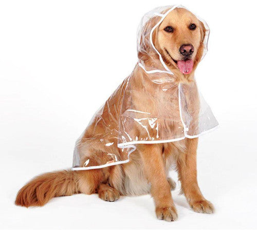 Transparante Regenjas voor Honden – productafbeelding