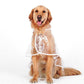 Transparante Regenjas voor Honden – productafbeelding