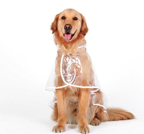 Transparante Regenjas voor Honden – productafbeelding