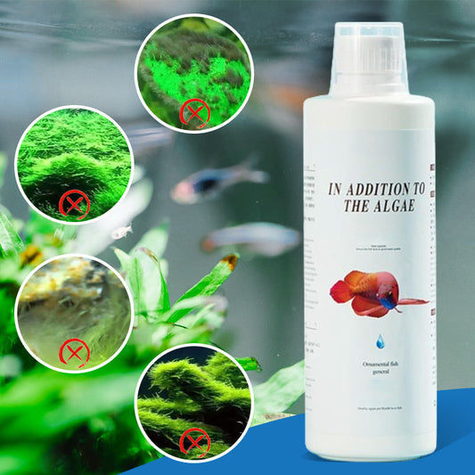 🎁 Aanbieding: 50% korting 🔥 Effectieve algenbestrijding voor aquariums