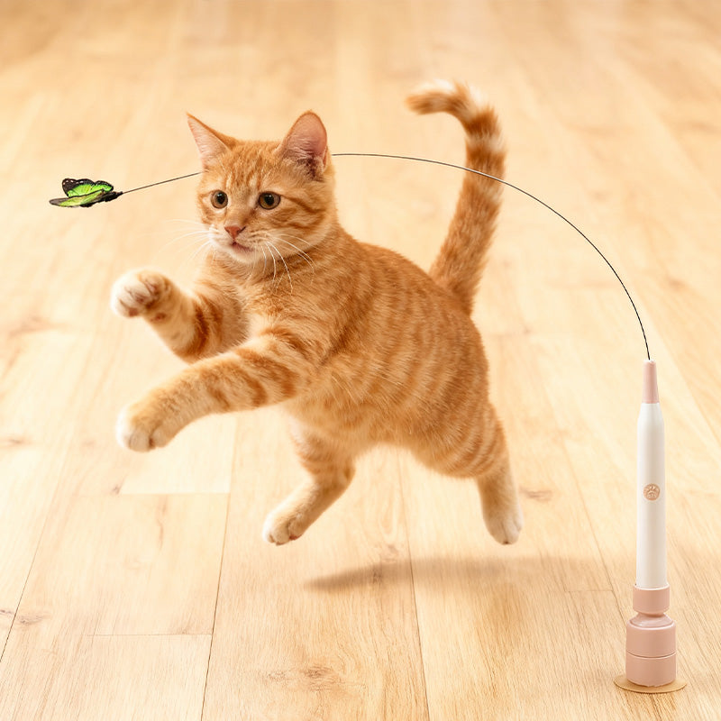 Interactief kattenspeelgoed met zuignap – productafbeelding