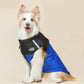 Waterafstotende winterjas voor honden – productafbeelding