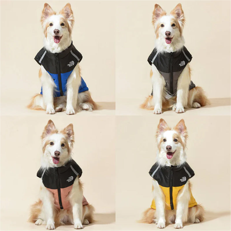 Waterafstotende winterjas voor honden – productafbeelding