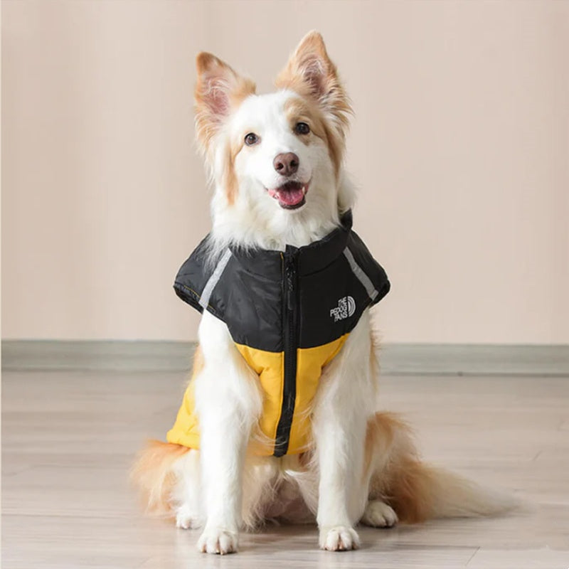 Waterafstotende winterjas voor honden – productafbeelding