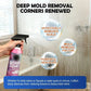 💥【LIMITED TIME 50% OFF】🔥 Diepreinigende Badkamerreiniger | Verwijdert Kalk/Zeepresten/Schimmel | Veilig voor Glas/Tegel/Keramiek/RVS | Anti-schimmel Formule | Zacht & Geurarm | 120ml Geconcentreerd