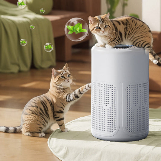🎁2026 Nieuw binnen 50% KORTING💥🌬️Compacte Luchtreiniger voor Thuis – Verwijdert Huisdiergeuren & Zuivert de Lucht 🐾