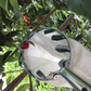 Fruitplukker met opvangmand – productafbeelding