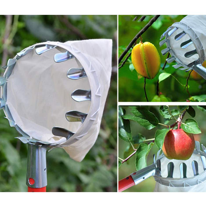 Fruitplukker met opvangmand – productafbeelding