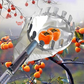 Fruitplukker met opvangmand – productafbeelding