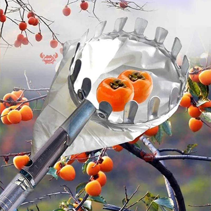 Fruitplukker met opvangmand – productafbeelding
