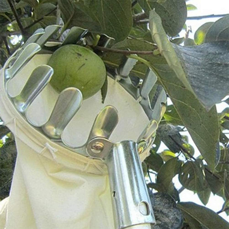 Fruitplukker met opvangmand – productafbeelding