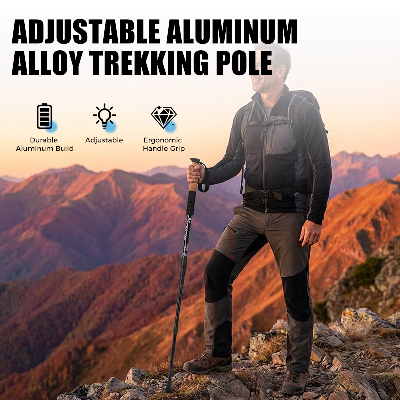 Verstelbare Aluminium Wandelstok – productafbeelding