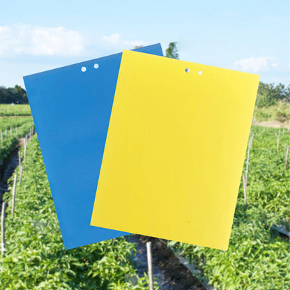 🪴 Set van 20 dubbelzijdige kleefvallen voor planten｜🦟 Zonder pesticiden