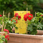 🪴 Set van 20 dubbelzijdige kleefvallen voor planten｜🦟 Zonder pesticiden