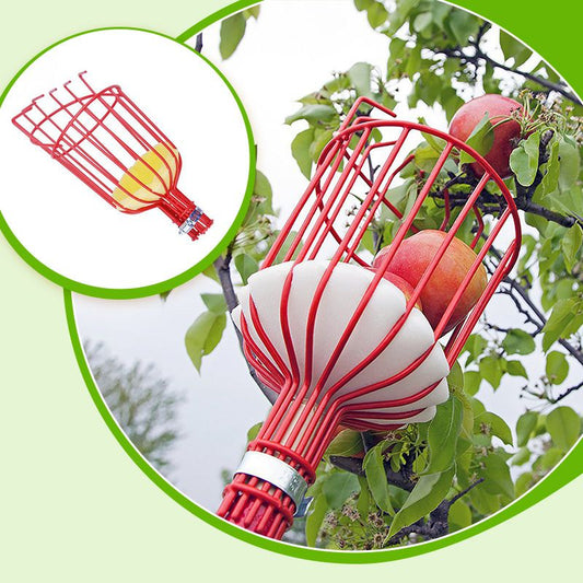 🍎Draagbare fruitplukker 🔥Tijdelijke aanbieding 🚀50% korting