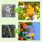🍎Draagbare fruitplukker 🔥Tijdelijke aanbieding 🚀50% korting