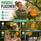 Eco-wespenval voor buite