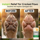 🐾✨ 50% KORTING! Stop met het zien van je hond met pijnlijke, gebarsten voetzolen! Deze hydraterende pootbalsemstick geneest, beschermt en is 100% veilig als hij eraan likt.