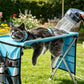 🐱 2-in-1 opvouwbaar verzorgingsbed voor huisdieren 🛋️