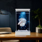 Betta-aquarium met 7-kleurige LED-verlichtin