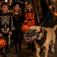 Realistische grappige muilkorf voor huisdieren voor Hallowee