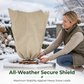 ❄️ Vorstbescherming voor planten | Bescherming voor de wintertuin