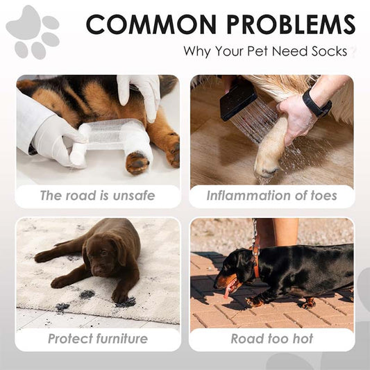 🐾 Verstelbare hondenlaarsjes voor pootbescherming