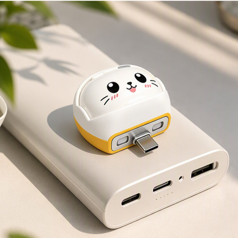 Slimme USB-C-laadadapter met automatische ontkoppeling – productafbeelding