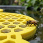 Drijvend drinkplatform voor bestuivers – productafbeelding