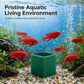 Actieve-Koolfilterblok voor Aquariums – productafbeelding