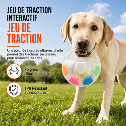 Interactieve Voetbal voor Honden met Treklussen – productafbeelding