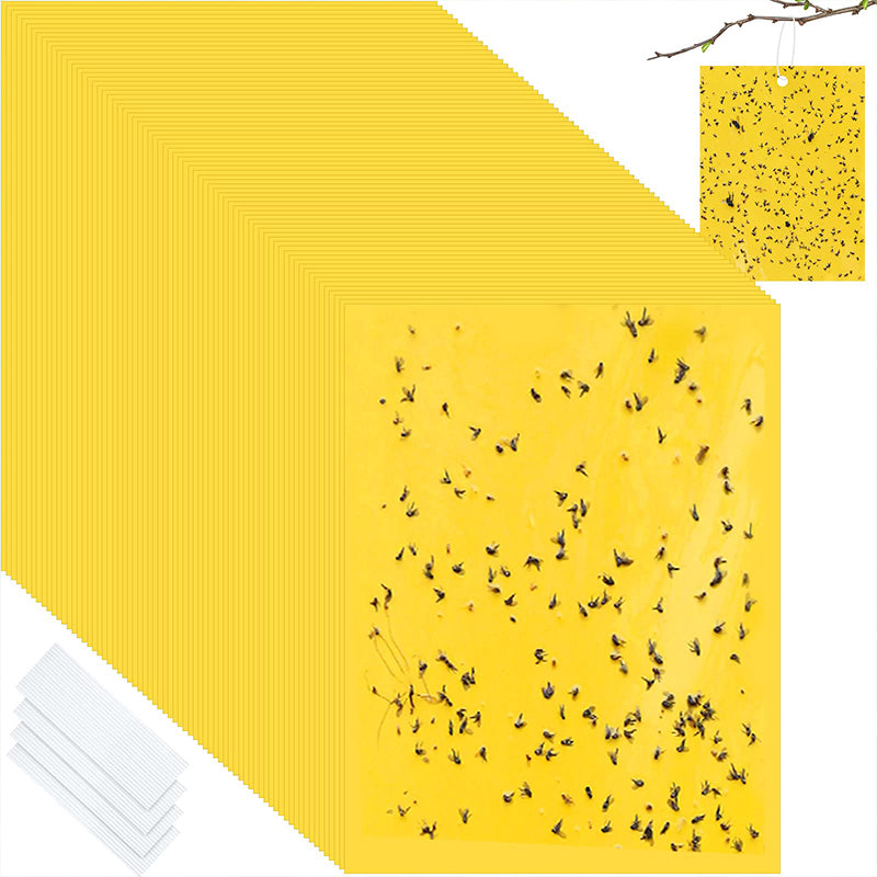 Dubbelzijdige Kleefvallen voor Insecten – productafbeelding